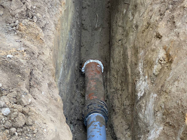 Best Sewage cleanup and water damage restoration  in Woodstock, AL
