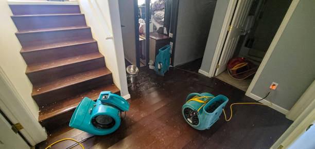  Woodstock, AL Water damage restoration Pros