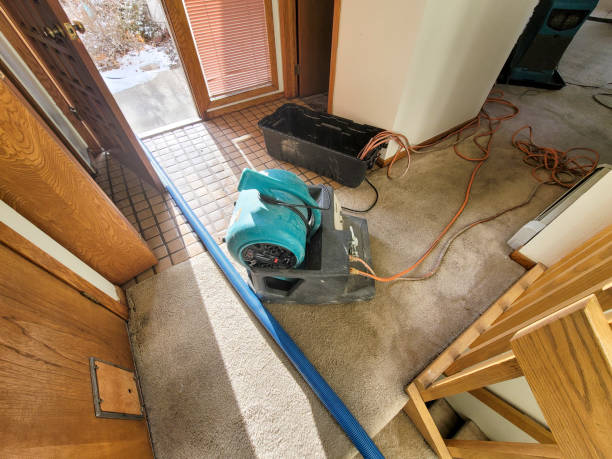 Best Flood damage cleanup  in Woodstock, AL