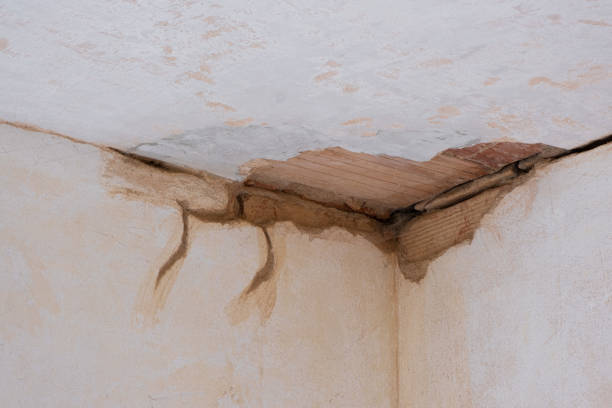Best Flood restoration services  in Woodstock, AL