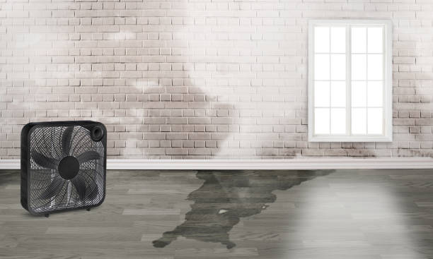 Best 24/7 water damage repair  in Woodstock, AL