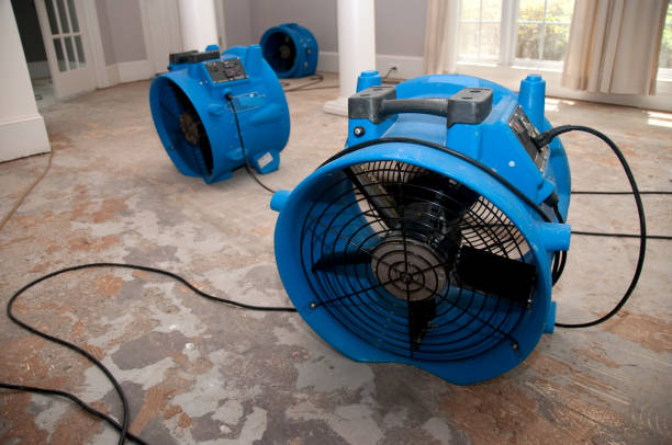 Best Water damage contractors near me  in Woodstock, AL