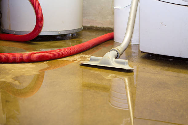 Best Professional water damage repair  in Woodstock, AL