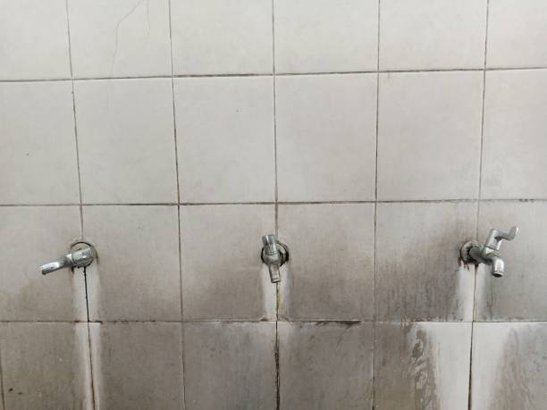 Best Water damage restoration near me  in Woodstock, AL