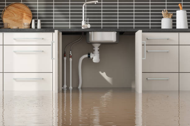 Best Water damage restoration near me  in Woodstock, AL