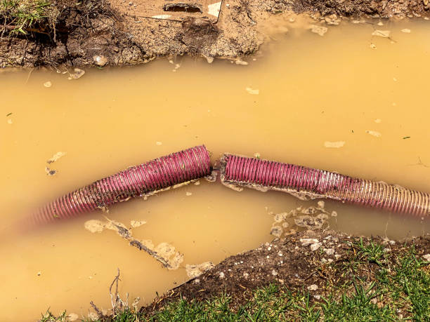Best 24-hour water damage restoration  in Woodstock, AL